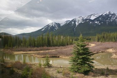 Scenery from the train n ear Banff